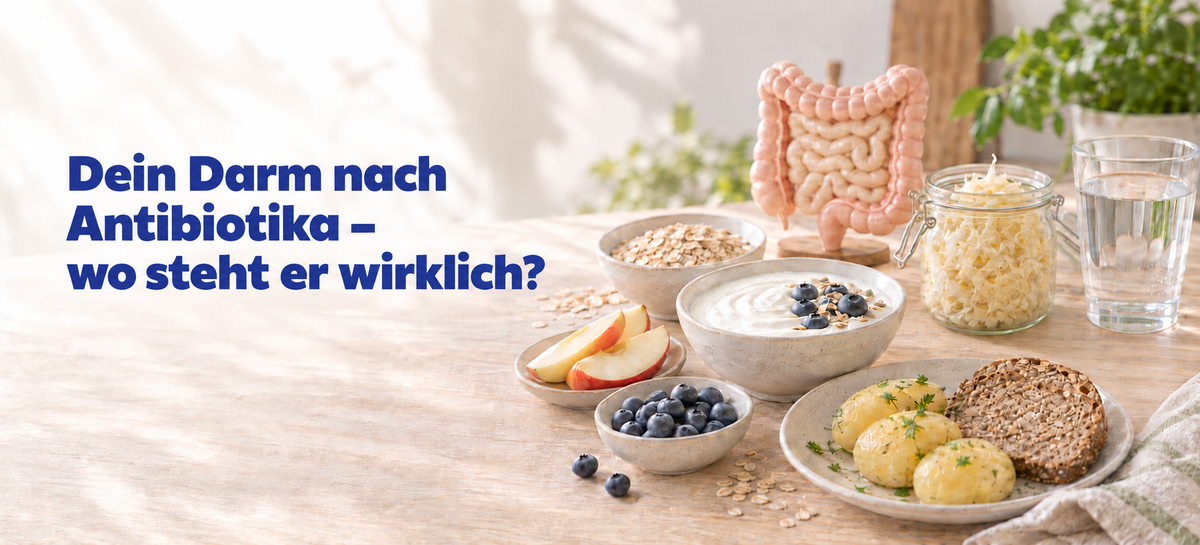 Darmflora aufbauen nach Antibiotika: So unterstützt du deinen Darm beim Neustart